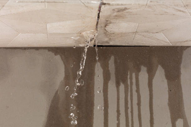 Professional Structural Drying technician working in Branch, MI